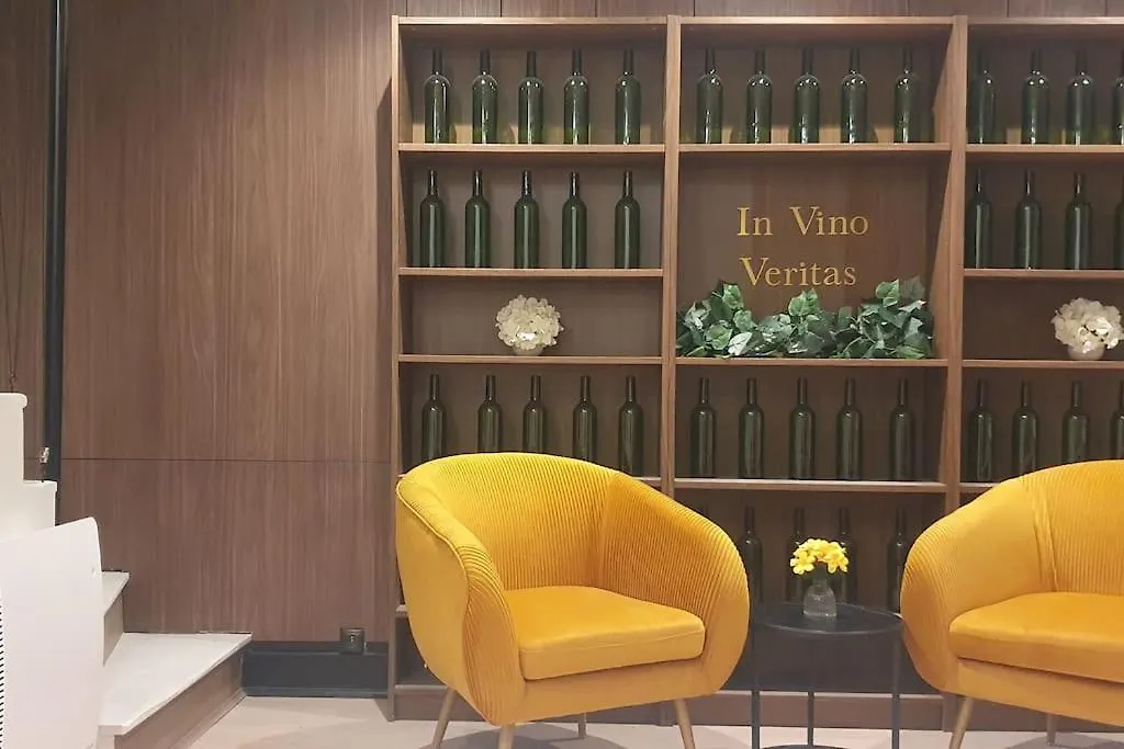 Suite Vinicole Hypercentre, Gare & Parking Gratuit Esplanade Grenoble
